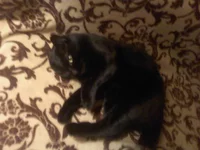 DSC0000088.webp