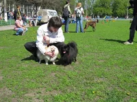 15.webp
