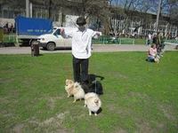 13.webp