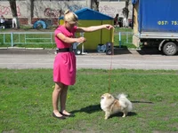 16.webp