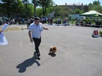 39.webp
