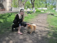 44.webp