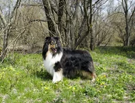 1_DSC_1228-2.webp