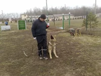  Андрей.webp