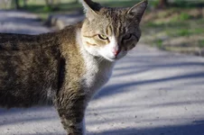 IMGP8741_2.webp