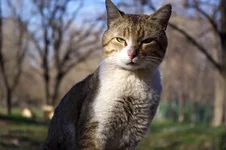 IMGP8742.webp