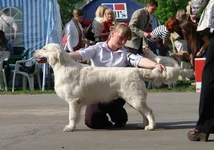  9 мая 2011 Харьков 099.webp