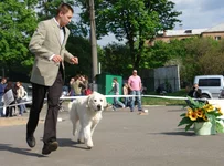  9 мая 2011 Харьков 126.webp