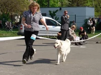  9 мая 2011 Харьков 128.webp