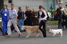  9 мая 2011 Харьков 268.webp
