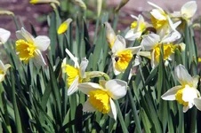 IMGP7980.JPG