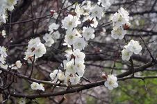 IMGP9796_2.webp