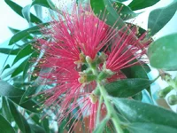 .webp