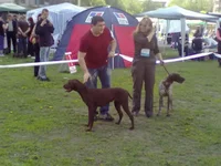 09052011727.webp