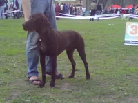 09052011698.webp