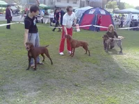 09052011736.webp