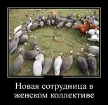 8534249e13109bbe04489982e5a8a60a.jpg