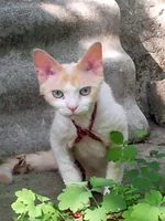 024.webp