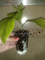 13052011429.jpg