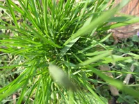  102.webp