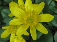  104.webp