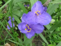  251.webp