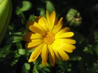  408.webp