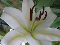  478.webp