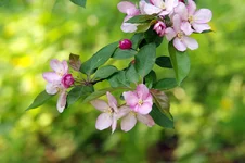 IMGP0239_2.webp
