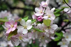 IMGP0519_2.webp