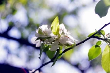 IMGP0526_2.webp
