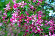 IMGP0545_2.webp