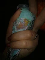 130520111449.webp