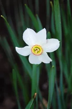 DSC_4350.webp