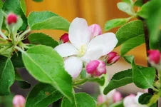 DSC_4366.webp