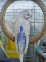  001.webp