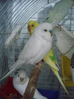  002.webp