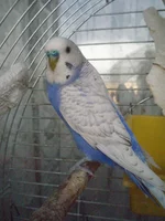 008.webp
