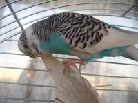  012.webp