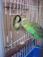 014.webp