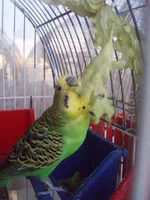  015.webp