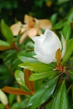 _2.webp