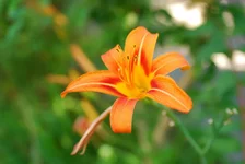 _3.webp