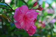 _4.webp