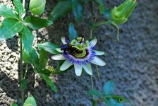_7.webp