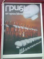 0060.webp