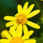 XO3H0305_1.webp