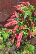 __2.webp