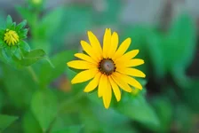 __4.webp