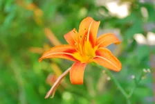 __5.webp